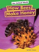 bokomslag How Bees Make Honey
