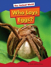 bokomslag Who Lays Eggs?