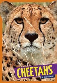 Arnold Ringstad - Cheetahs, Inbunden
