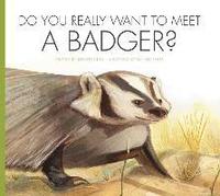 bokomslag Do You Really Want to Meet a Badger?