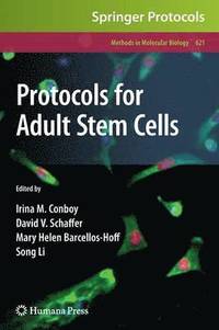bokomslag Protocols for Adult Stem Cells