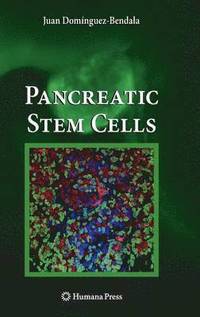 bokomslag Pancreatic Stem Cells