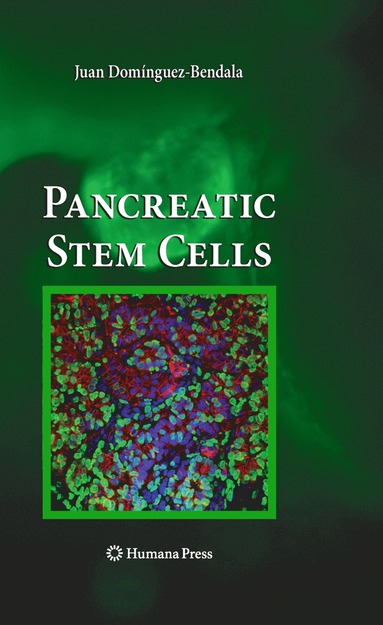 bokomslag Pancreatic Stem Cells