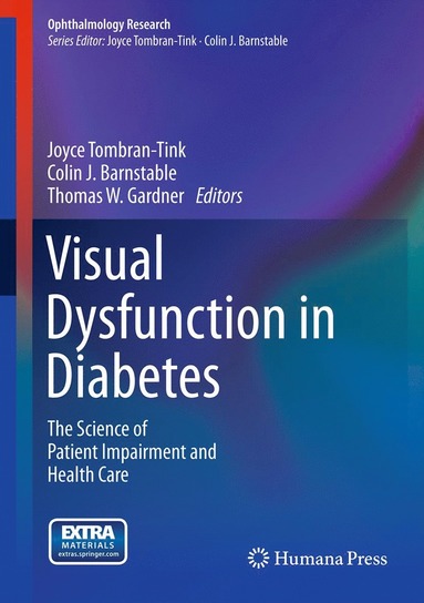 bokomslag Visual Dysfunction in Diabetes