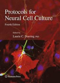 bokomslag Protocols for Neural Cell Culture