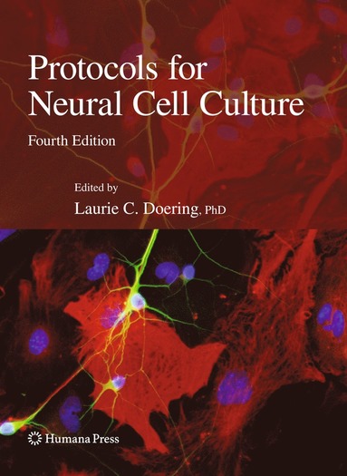 bokomslag Protocols for Neural Cell Culture