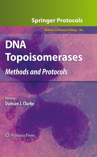 bokomslag DNA Topoisomerases