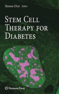 bokomslag Stem Cell Therapy for Diabetes