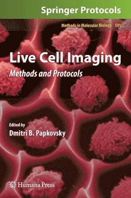 Live Cell Imaging 1