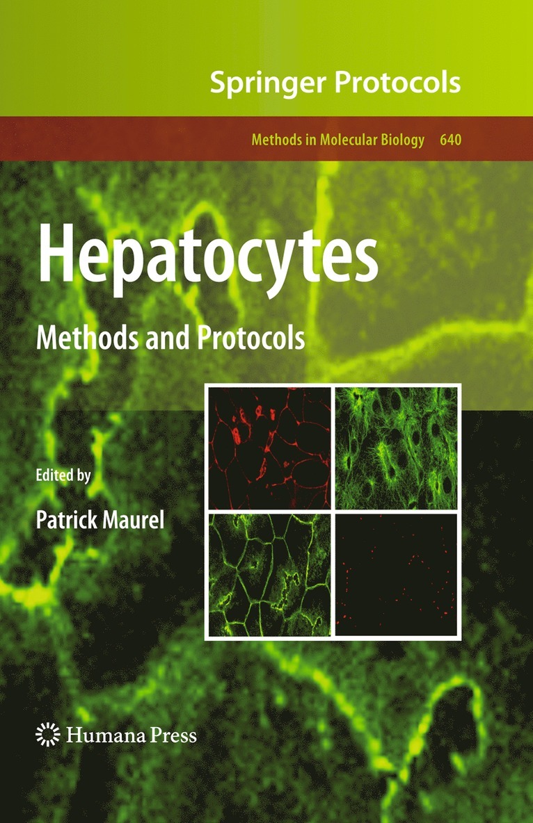 Hepatocytes