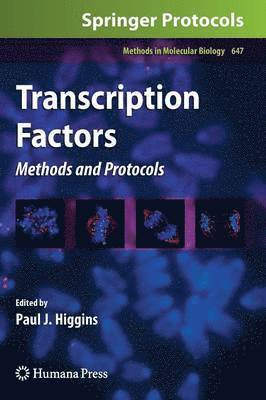 Transcription Factors 1