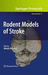 bokomslag Rodent Models of Stroke