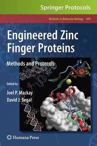 bokomslag Engineered Zinc Finger Proteins