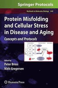 bokomslag Protein Misfolding and Cellular Stress in Disease and Aging