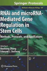 bokomslag RNAi and microRNA-Mediated Gene Regulation in Stem Cells