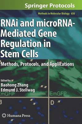 bokomslag RNAi and microRNA-Mediated Gene Regulation in Stem Cells