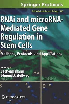 RNAi and microRNA-Mediated Gene Regulation in Stem Cells 1