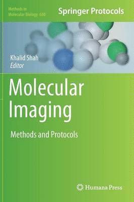 bokomslag Molecular Imaging