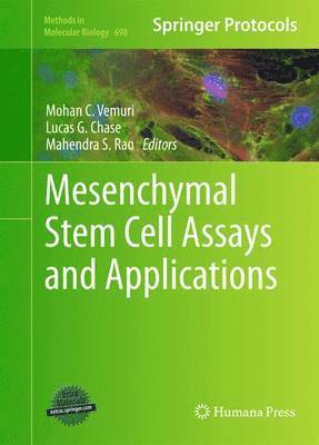 bokomslag Mesenchymal Stem Cell Assays and Applications