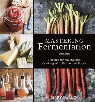 bokomslag Mastering Fermentation