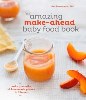 bokomslag Amazing Make-Ahead Baby Food Book