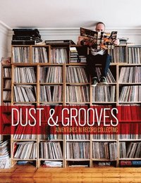 bokomslag Dust & Grooves