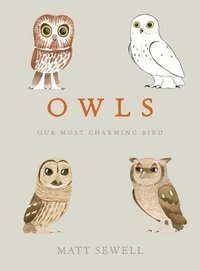 bokomslag Owls: Our Most Charming Bird