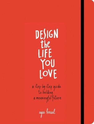 bokomslag Design the Life You Love