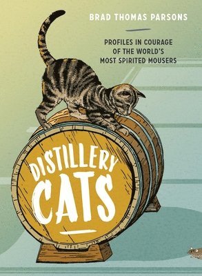 Distillery Cats 1