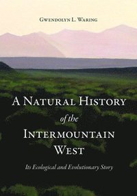 bokomslag A Natural History of the Intermountain West