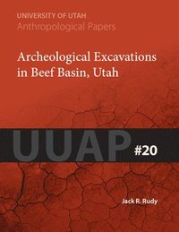 bokomslag Archeological Excavations in Beef Basin, Utah