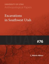bokomslag Excavations in Southwest Utah