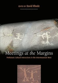 bokomslag Meetings at the Margins