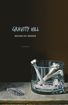 Maximilian Werner - Gravity Hill, Häftad