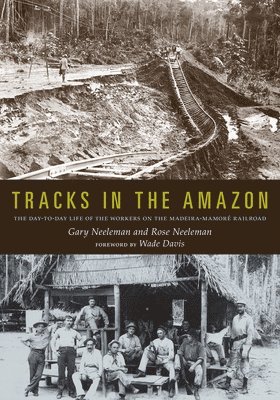 Tracks in the Amazon 1