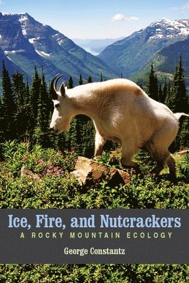 George Constantz - Ice, Fire, and Nutcrackers, Häftad