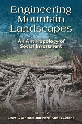Laura L. Scheiber, Maria Nieves Zedeño, María N. Zedeño, Laura L Scheiber, María N Zedeño - Engineering Mountain Landscapes, Häftad