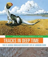 bokomslag Tracks in Deep Time