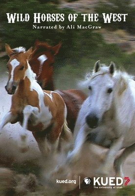 Wild Horses of the West 1