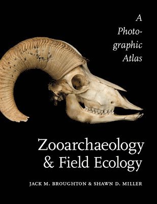 Zooarchaeology and Field Ecology 1