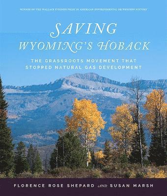 bokomslag Saving Wyoming's Hoback