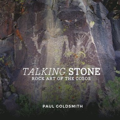 bokomslag Talking Stone