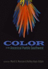 bokomslag Color in the Ancestral Pueblo Southwest