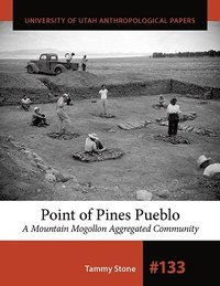 bokomslag Point of Pines Pueblo