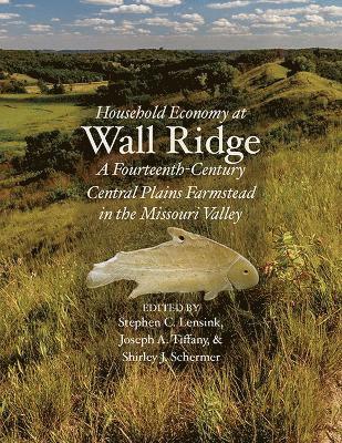 Stephen C Lensink, Joseph A. Tiffany, Shirley J. Schermer, Stephen C. Lensink, Joseph A Tiffany, Shirley J Schermer - Household Economy at Wall Ridge, Inbunden
