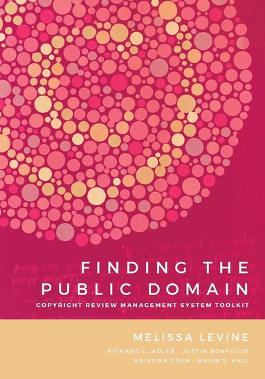 bokomslag Finding the Public Domain