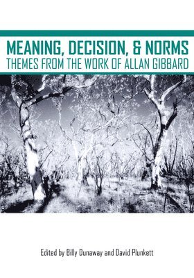 Meaning, Decision, and Norms 1