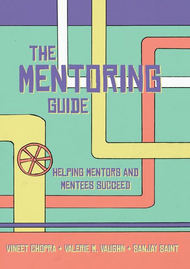 Vineet Chopra, Valerie Vaughn, Sanjay Saint - Mentoring Guide, Häftad