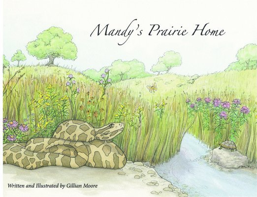 Gillian Moore - Mandy's Prairie Home, Häftad