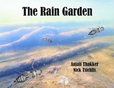 bokomslag Rain Garden